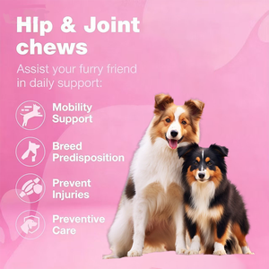 High Quality Soft Chews <strong>for</strong> <strong>Dogs</strong> Joint protection Promote Growth Hip and Joint Supplement <strong>for</strong> Pets OEM <strong>Dog</strong> Chew Joint Supplement - Product Image 6