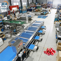 Máquina Clasificadora de Frutas y Verduras Azul Marca KEHONG 40001100900, Dimensiones 200KG de Peso