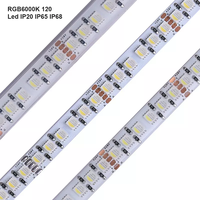 Bande lumineuse LED 5050 de haute qualité, haute puissance, indice de protection IP67, RGBW/RGBWW, 120 LED/m, 24V, PCB en cuivre 3OZ