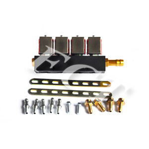 Rail d'injecteurs CNG/GPL 4 cylindres avec bobine rouge, buse d'injection haute performance pour conversion au gaz (certifié CE) - Product Image 6