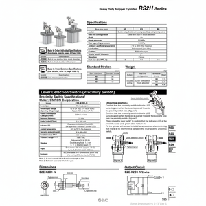 Cylindre RS2H63-30TM-Q robuste SMC Pneumatics - Product Image 1