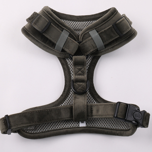 Nuevos Productos Populares: Accesorios Clásicos de Terciopelo para Mascotas, Conjunto de Arnés, Correa y Lazo para Perro con Color Personalizado y Diseño Moderno - Product Image 2