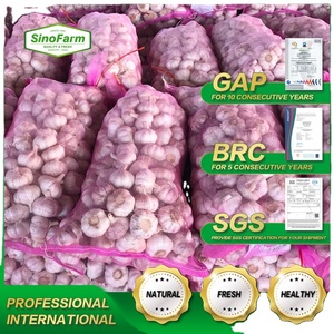 Ail frais <span class=keywords><strong>ajo</strong></span> fresco Paquete de <span class=keywords><strong>ajo</strong></span> púrpura blanco normal en bolsa de malla y cartón para el mercado africano del sudeste de Oriente Medio - Product Image 4