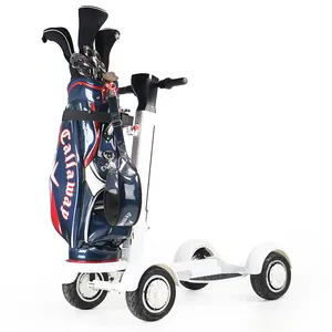 Patinete de Golf eléctrico plegable de 10 pulgadas, 1000W, 48V, cuatro ruedas, Caddy con opción de asiento, venta al por mayor de fábrica