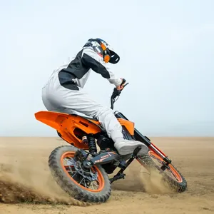 Motocicleta Eléctrica con Motor Central de 3000W (pico), Alta Potencia, 50km/h, Frenos de Disco Hidráulicos, Envío Rápido desde Almacén en la UE - Product Image 1