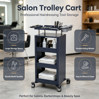 Chariot de Salon en Acier Inoxydable, Chariot de Rangement Roulant pour Coiffure avec Bols à Teinture et Rotation à 360° °   Roulettes pivotantes pour salon de coiffure, spa