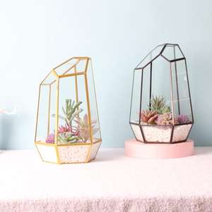 <span class=keywords><strong>Terrarium</strong></span> géométrique en verre extra large de 16 pouces, boîte pour reptiles, vase pour plantes succulentes - Product Image 5