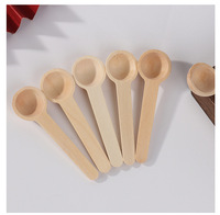 Cuillère en bois ronde miniature naturelle de 2 ml, 5 ml, 10 ml, petite cuillère à glace, miel, lait en poudre, mini cuillère à poudre