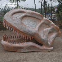 Réplique de crâne de dinosaure grandeur nature faite à la main pour musée de dinosaures ou exposition de fossile de tête de Yangchuanosaurus en fibre de verre