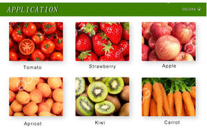 Machine de traitement de purée de <span class=keywords><strong>tomate</strong></span> concentrée <span class=keywords><strong>italienne</strong></span> à faible coût - Product Image 6