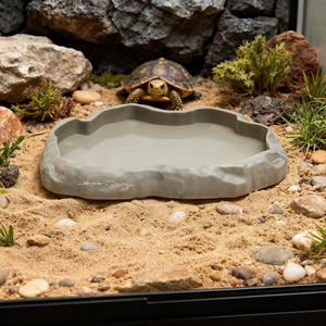 Kertenkele chamemunlar yılanlar için plastik sürüngen su kasesi Geckos boynuzlu kurbağalar kaplumbağalar kaya peyzaj besleme kasesi - Product Image 3