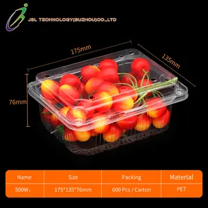Custom Clear Transparant Food Container Pet Wegwerp Plastic Clamshell Groente Fruit Verpakking Voor Druif Lychee Cherry
