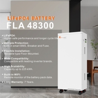 Batterie au lithium-ion Felicity Solar 15 kWh 220 V 51,2 V, configuration de batterie solaire, BMS pour pack de batteries au lithium-ion
