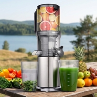Extracteur de jus lent portable à froid 200 W 60 tr/min avec grande goulotte d'alimentation et système anti-goutte pour le camping en extérieur
