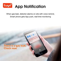 Detektor Kebocoran Gas WiFi Tuya Stabilitas Tinggi, Detektor Gas Pintar untuk Rumah Tangga