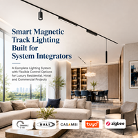Système d'éclairage sur rail magnétique, rail de plafond magnétique 48V DC, ensemble de modules spot linéaires fins, LED sur rail fin pour vitrine de magasin, CRI 95, compatible HomeKit