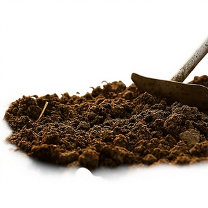 Poudre de fumier de vache séché orientée vers l'exportation, engrais organique de haute qualité pour l'agriculture commerciale et l'approvisionnement des cultures en plantations - Product Image 1