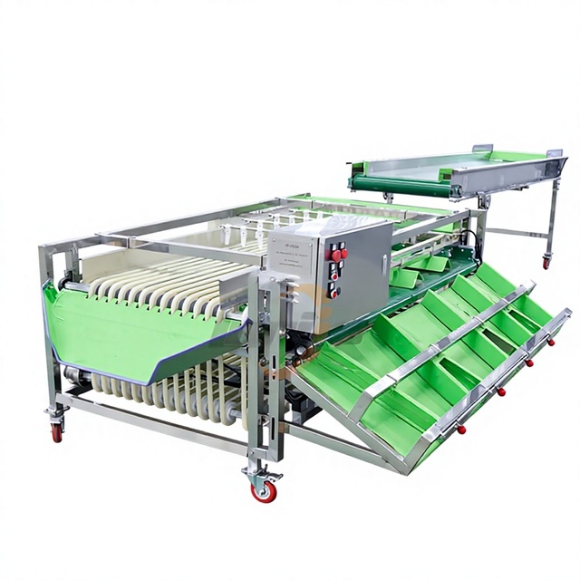 XINLONGJIA Automatic Fruit Vegetable Nuts Sorting Grading Machine with 304 Stainless Steel for Tomato Potato Blueberry Dates