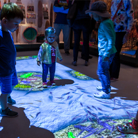 Système de projection interactive au sol de version basique pour jeux 3D pour enfants en utilisant l'ordinateur et le projecteur
