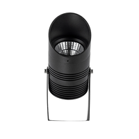 Lampe de jardin à LED COB IP65 3W 5W 7W 10W 18W Blanc Chaud Blanc Pur DC 12V pour extérieur, spot de pelouse, luminaire paysager, éclairage sur piquet