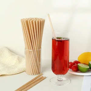 Customized Disposable Eco-friendly Bagasse Straws Degradable Drink Straws Stir Stick Hot Drink Cold Drink Coffee Straws