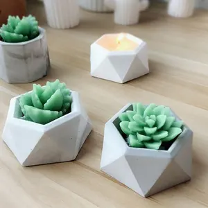 Geometric Succulent Plant Flower Pot Silicone Mold for Wax, Gypsum, Resin