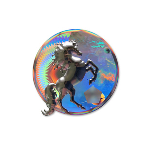 Free Design Guangzhou 3d Hologram Sticker Security Laser Label Anti Counterfeiting 3d Sticker Seal - Product Image 4
