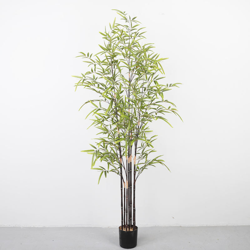 สีม่วง # 150ซม