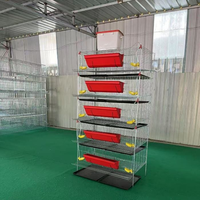 Cage à batterie pour cailles en treillis métallique galvanisé à froid, type H surélevé, 5 niveaux, hauteur 24-27 cm/niveau, cage à œufs de cailles à vendre