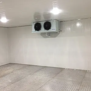 저온 콜드 룸 증발기 물고기 고기 냉동고 220V 120mm/150mm 패널 두께 차가운 보관실