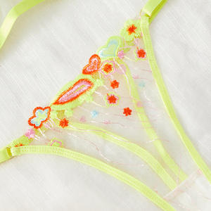 Unterstützendes Plunge-BH- und Slip-Set – Sexy Spitzen-Dessous für Damen - Product Image 3