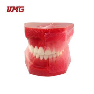 Bambini di età compresa tra 9 e 12 anni decidui sostituzione dei denti insegnamento dentale modello di sviluppo denturale C - Product Image 4