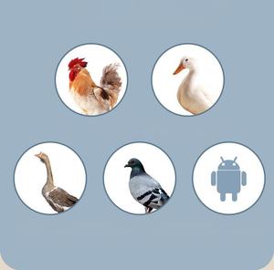 Incubateurs à œufs intelligents de petite taille pour 6/9/12/15/24/36/48/<span class=keywords><strong>56</strong></span>/64/100/128/192/200/256/300/400 œufs – Vente directe fabricant - Product Image 5