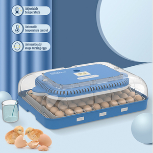 Yumurta kuluçka küçük ev kuluçka 70 adet tam otomatik akıllı inkübatör - Product Image 2