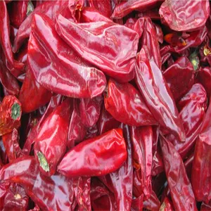 High Quality New Crop Fresh And Frozen Jinta Red Chilli Jinta Chili Red Chilli Jinta