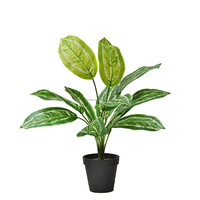 Plante artificielle Dieffenbachia à taches, feuilles de soie, type Taro, en pot, 48 cm, pour centre de table, mariage, Noël, décoration intérieure