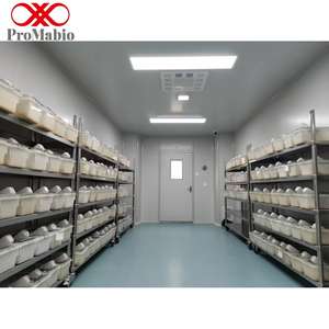 Моноклональный антитело-наперстоковидный антитело (МНА) к глутаминазе на основе кроличьего моноклонального антитела для применений в методах WB/IP/IF - Product Image 5