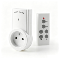 Enchufe de Control Remoto de Alta Calidad, Interruptor de Luz Inalámbrico para Francia