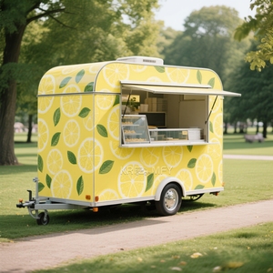 Camión de Comida Retro Estilo Hielo 2025, Camión de Barbacoa Callejera, Suministros para Camiones de Comida, Hamburguesas, Pizza, Catering Chino, Remolques de Comida Móvil en Venta - Product Image 2