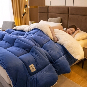 2024 caliente personalizado al por mayor Ultra-suave franela invierno cálido edredón grueso edredón juego de cama edredón - Product Image 2