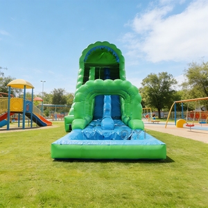Tobogán Acuático Doble Inflable de Alta Resistencia para Niños y Adultos, de Grado Comercial, en PVC - Product Image 1