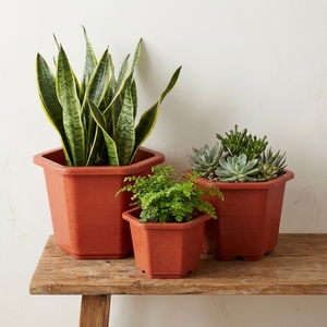 กระถางดอกไม้ทรงหกเหลี่ยมพลาสติกจากผู้ผลิตเวียดนาม ชุดกระถางปลูกต้นไม้ลายอิฐ สำหรับปลูกในร่มและกลางแจ้ง ขายส่งจำนวนมาก รุ่น A450 - Product Image 1