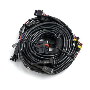 <span class=keywords><strong>Autogas</strong></span> Cng Ngv Mp48 4ถังชุด Ecu - Product Image 4