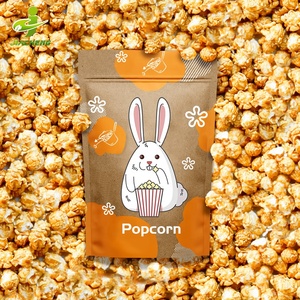 JIACHENG-bolsas de bocadillos de maíz para niños, bolsas de embalaje degradables para arroz, krispies - Product Image 1