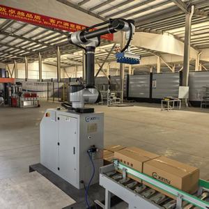 全自動協働ロボット 自動協働パレタイザー 積載重量20～50kg カスタマイズ可能 - Product Image 6