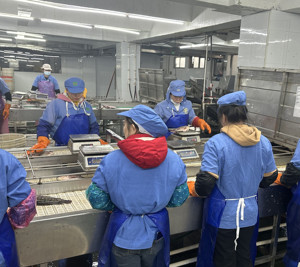 Tilapia Congelata Nera Premium, Pesce Intero, Fornitura all'Ingrosso per Ristoranti e Vendita al Dettaglio - Product Image 6