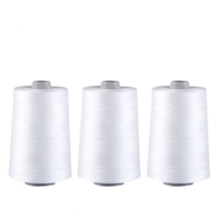 Vente en gros 5000 Yards 202 203 Fil à coudre en polyester filé Fils à broder en polyester