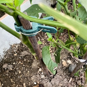 Clip di Fissaggio a Muro Verdi per Orticoltura, per Vasi di Fiori e Piante, Ideali per la Coltivazione - Product Image 5