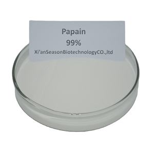 Pemasok terbaik 1kg 25kg harga enzim Papain jual bubuk Papain - Product Image 3