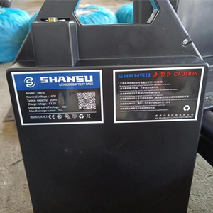 Batería de litio de 60V y 20Ah para scooter citycoco de la UE, disponible en la UE, para scooter citycoco de 2/2/2/2/2/2/4/2/4/2/2/4/2/4/2/2/4/4/4/2/2/4/2/4/2/4/4. 0/4/4/4/2/4 Citym/30/ - Product Image 1